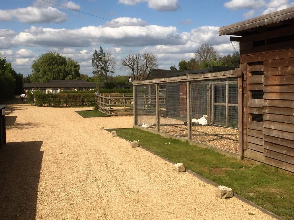 Willow Court Farm Studio West & Petting Farm, 8 Mins To Legoland & Windsor, 15 Mins To Lapland Uk 빌라 외부 사진